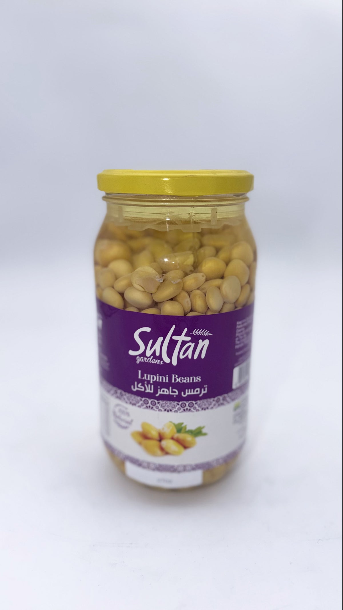 PKL 2702- SULTAN GARDEN-LUPINI PICKED