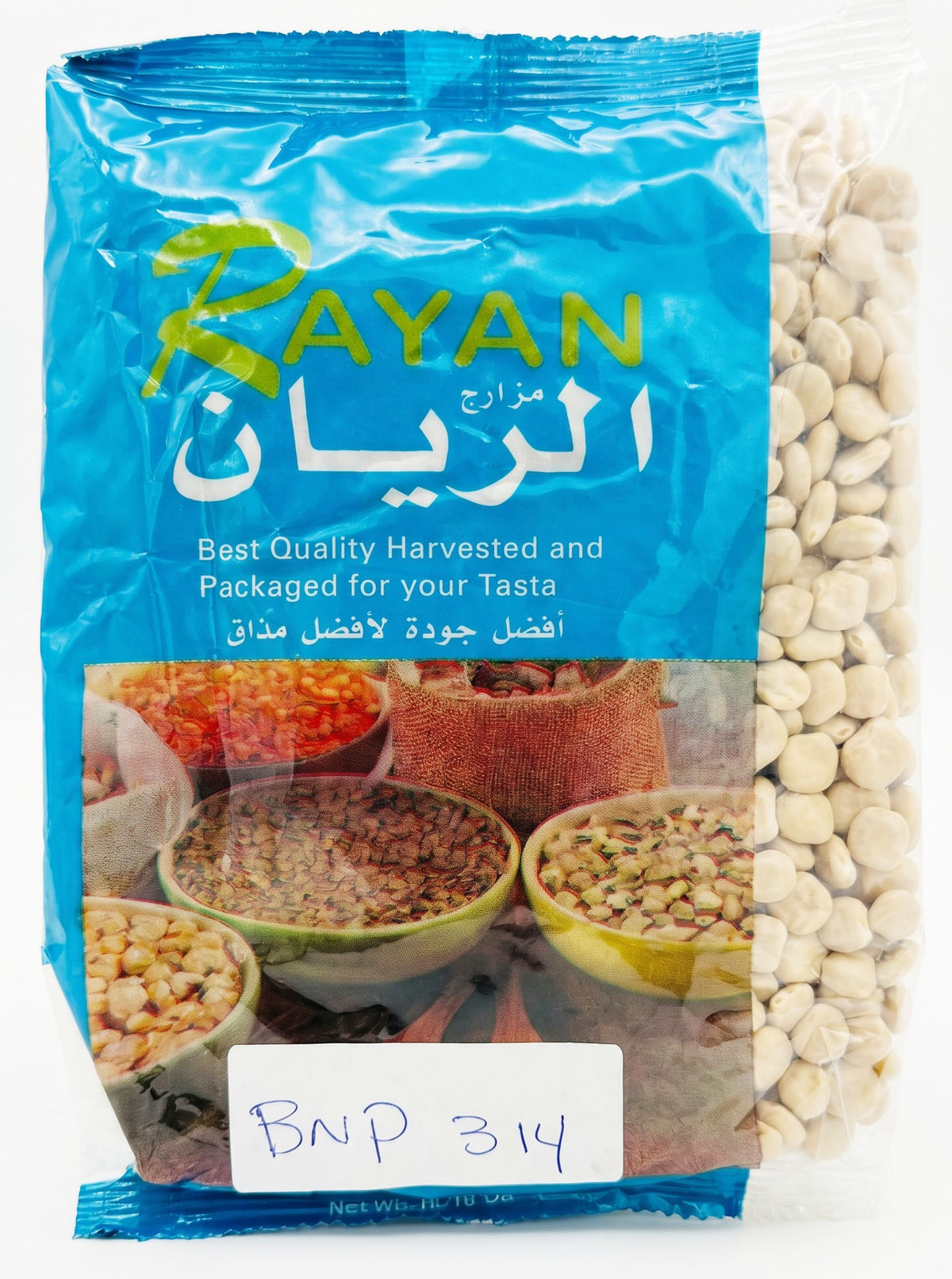 BNP 314- RAYAN-LUPINI
