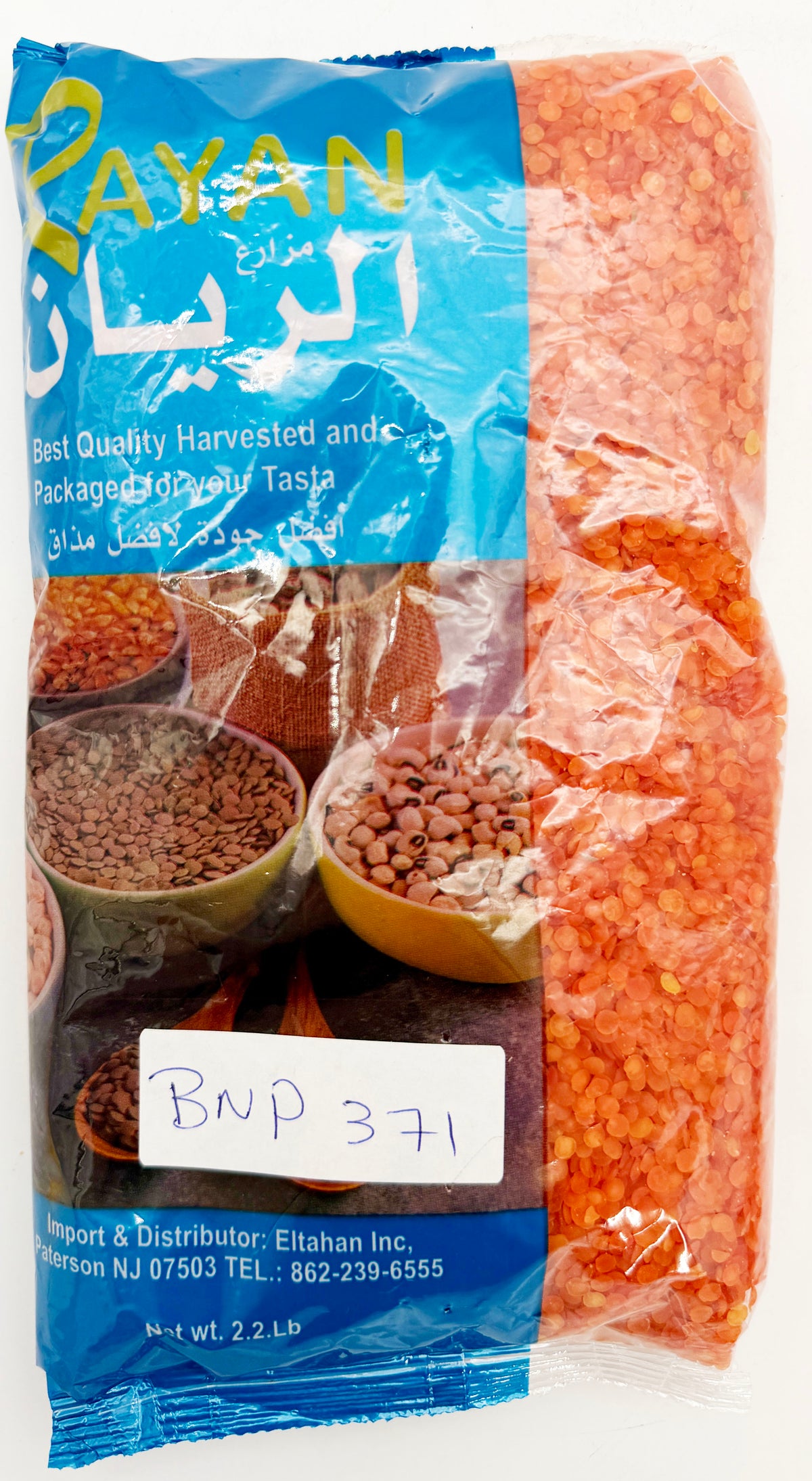 BNP 314 - RAYAN- RED LENTIL