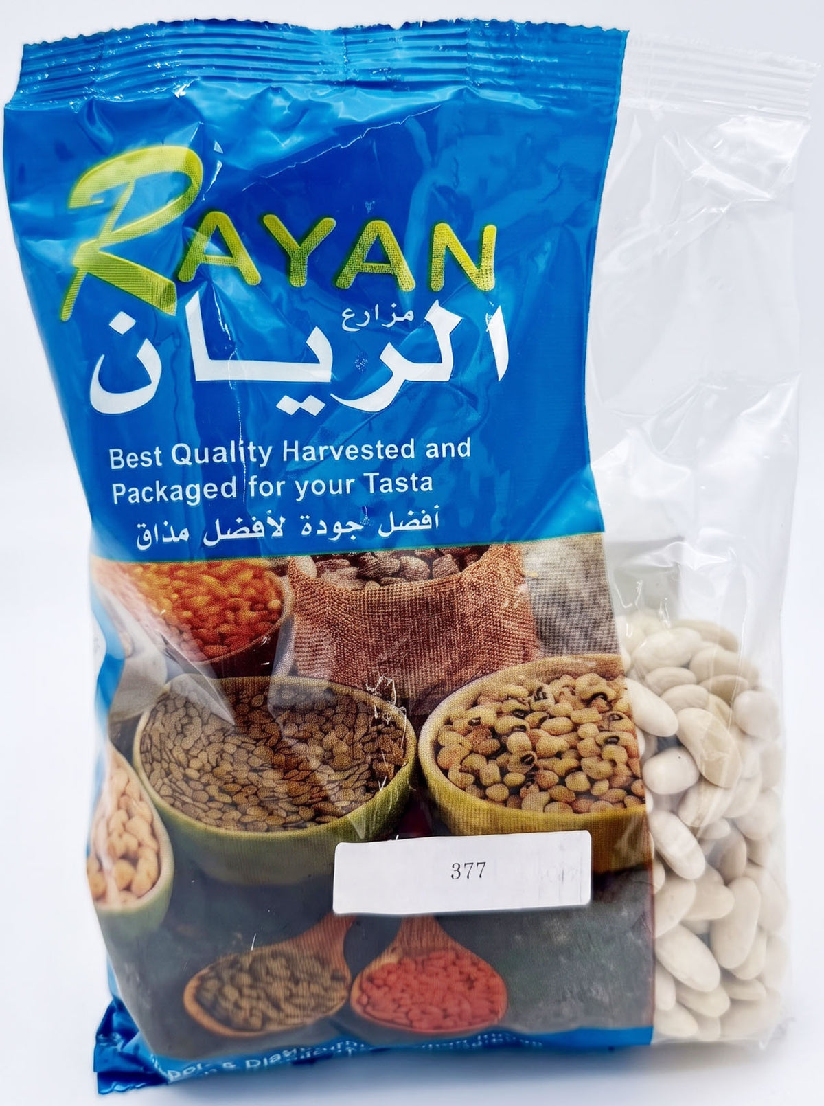 BNP 377 - EL RAYAN-WHITE KIDNEY