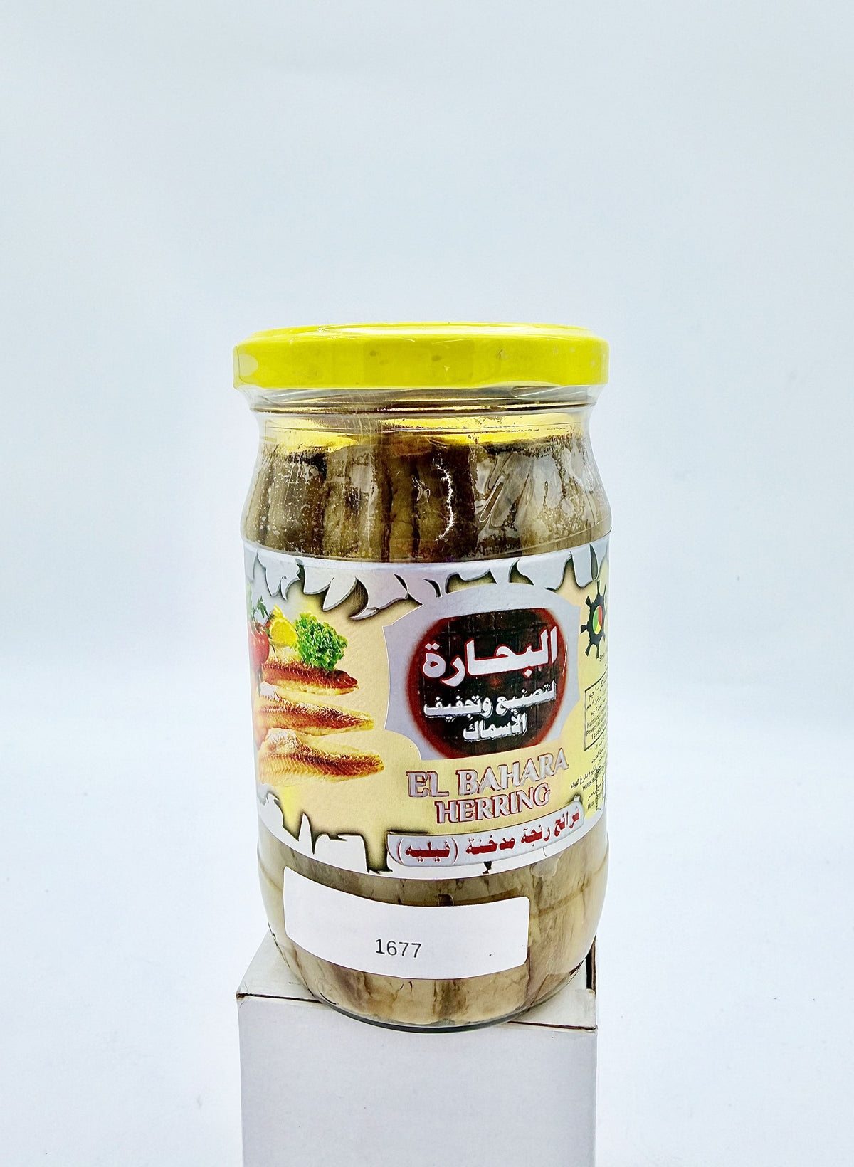 FSH 1677-  (JARS) EL BAHARA -RENGA FILLET